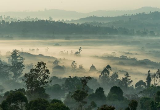 Supply of farm inputs