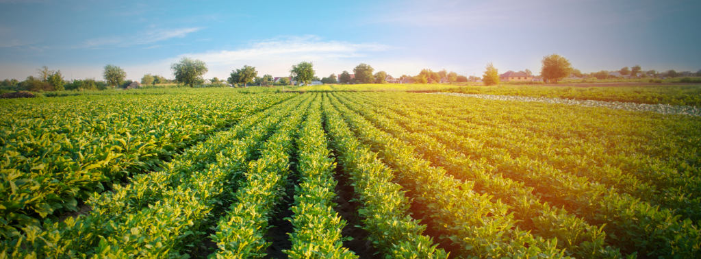 Agriculture and Rural Development