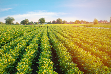 Agriculture and Rural Development